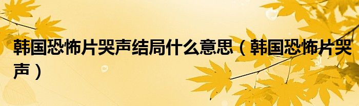 韩国恐怖片哭声结局什么意思（韩国恐怖片哭声）