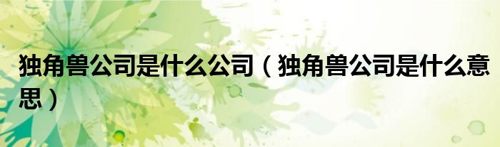 独角兽公司是什么公司(独角兽公司是什么意思)