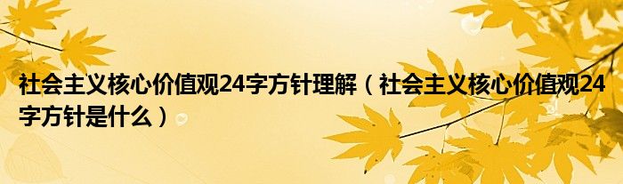 社会主义核心价值观24字方针理解(社会主义核心价值观24字方针是什么)