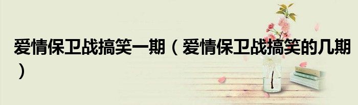 爱情保卫战搞笑一期(爱情保卫战搞笑的几期)