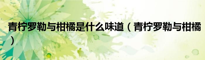 青柠罗勒与柑橘是什么味道(青柠罗勒与柑橘)