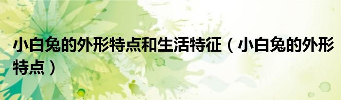 小白兔的外形特点和生活特征(小白兔的外形特点)