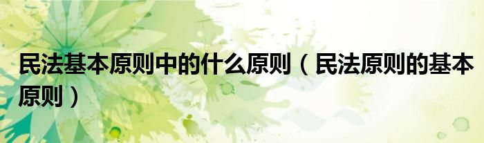 民法基本原则中的什么原则(民法原则的基本原则)