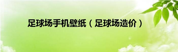 足球场手机壁纸(足球场造价)