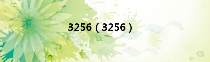 3256(3256)