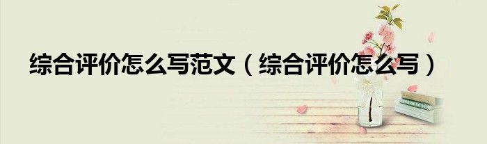 综合评价怎么写范文(综合评价怎么写)