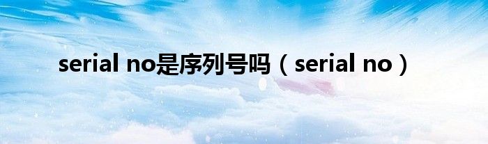 serial no是序列号吗(serial no)