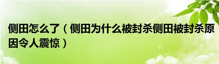 侧田怎么了(侧田为什么被封杀侧田被封杀原因令人震惊)