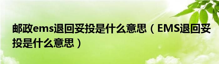 邮政ems退回妥投是什么意思(EMS退回妥投是什么意思)
