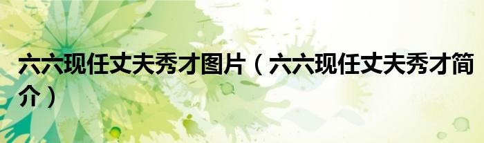 六六现任丈夫秀才图片(六六现任丈夫秀才简介)