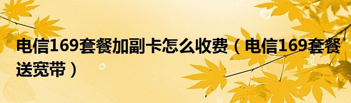 电信169套餐加副卡怎么收费(电信169套餐送宽带)