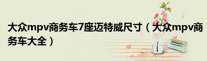 大众mpv商务车7座迈特威尺寸(大众mpv商务车大全)