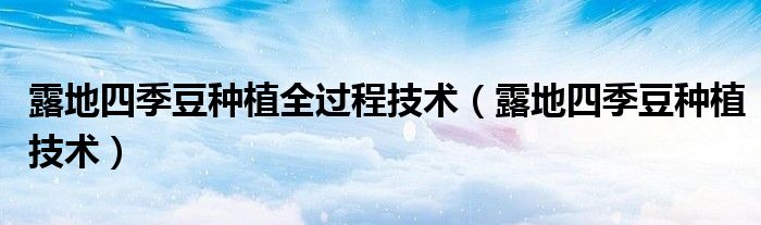 露地四季豆种植全过程技术(露地四季豆种植技术)