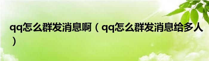 qq怎么群发消息啊(qq怎么群发消息给多人)