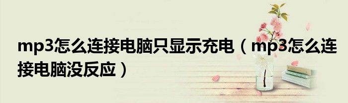 mp3怎么连接电脑只显示充电(mp3怎么连接电脑没反应)
