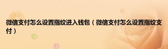 微信支付怎么设置指纹进入钱包(微信支付怎么设置指纹支付)