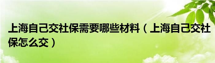 上海自己交社保需要哪些材料(上海自己交社保怎么交)