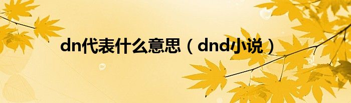 dn代表什么意思(dnd小说)