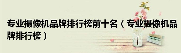 专业摄像机品牌排行榜前十名(专业摄像机品牌排行榜)