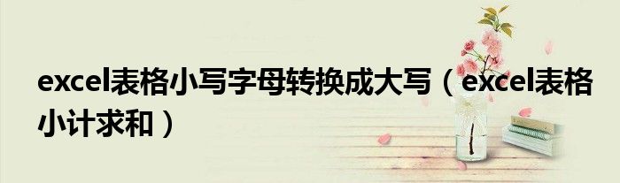 excel表格小写字母转换成大写(excel表格小计求和)