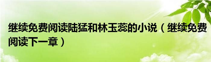 继续免费阅读陆猛和林玉蕊的小说(继续免费阅读下一章)