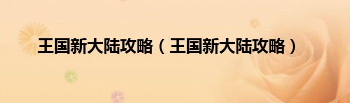 王国新大陆攻略(王国新大陆攻略)