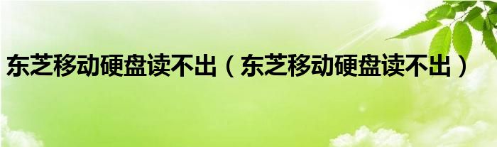 东芝移动硬盘读不出(东芝移动硬盘读不出)