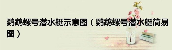 鹦鹉螺号潜水艇示意图(鹦鹉螺号潜水艇简易图)