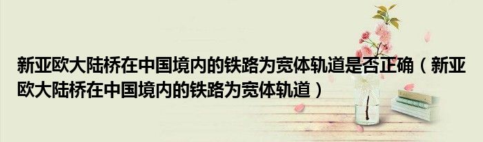 新亚欧大陆桥在中国境内的铁路为宽体轨道是否正确(新亚欧大陆桥在中国境内的铁路为宽体轨道)