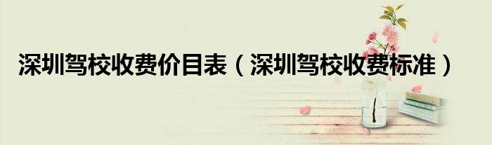 深圳驾校收费价目表(深圳驾校收费标准)