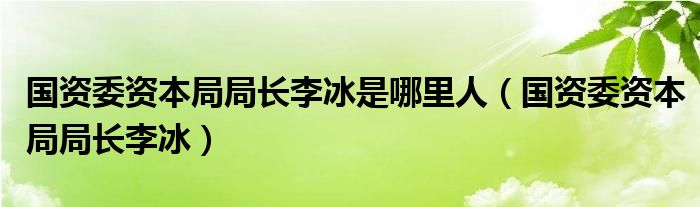 国资委资本局局长李冰是哪里人(国资委资本局局长李冰)