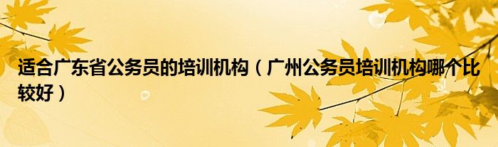 适合广东省公务员的培训机构(广州公务员培训机构哪个比较好)