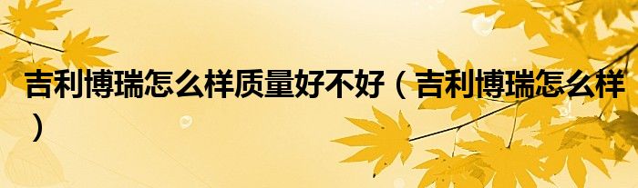 吉利博瑞怎么样质量好不好(吉利博瑞怎么样)