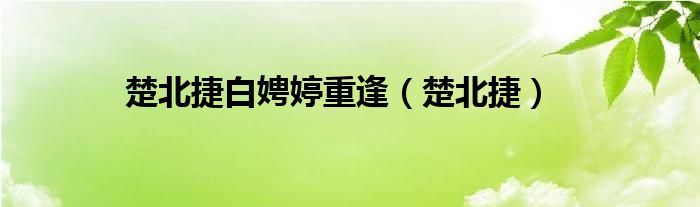 楚北捷白娉婷重逢(楚北捷)
