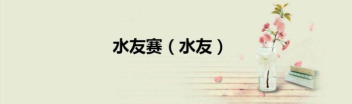 水友赛（水友）