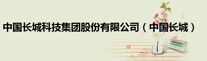 中国长城科技集团股份有限公司(中国长城)