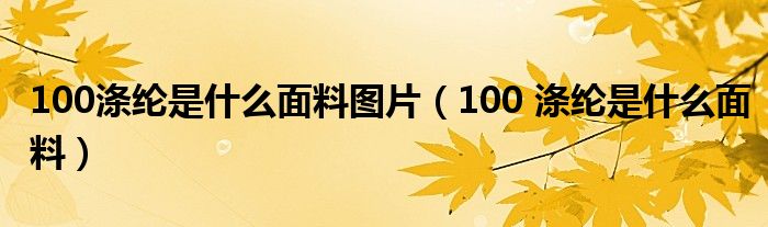 100涤纶是什么面料图片(100 涤纶是什么面料)