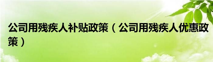 公司用残疾人补贴政策(公司用残疾人优惠政策)