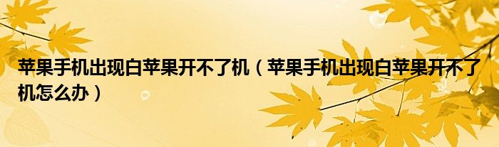 苹果手机出现白苹果开不了机(苹果手机出现白苹果开不了机怎么办)