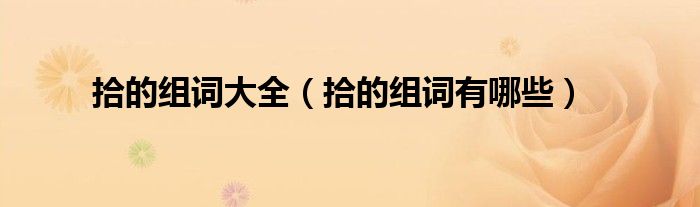 拾的组词大全(拾的组词有哪些)