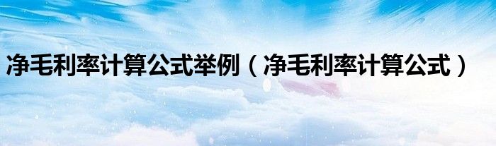 净毛利率计算公式举例(净毛利率计算公式)