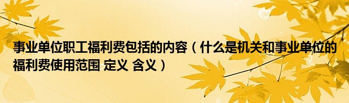 事业单位职工福利费包括的内容(什么是机关和事业单位的福利费使用范围 定义 含义)