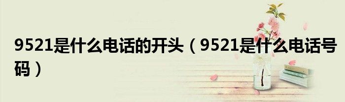 9521是什么电话的开头(9521是什么电话号码)