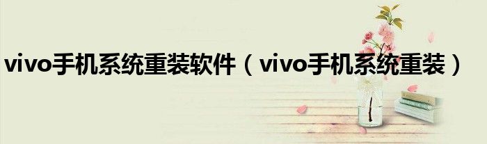 vivo手机系统重装软件(vivo手机系统重装)