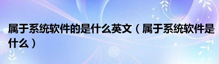 属于系统软件的是什么英文(属于系统软件是什么)