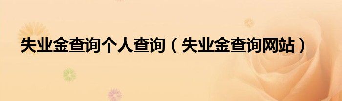 失业金查询个人查询(失业金查询网站)