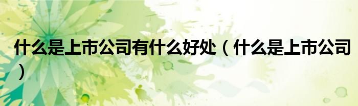 什么是上市公司有什么好处(什么是上市公司)