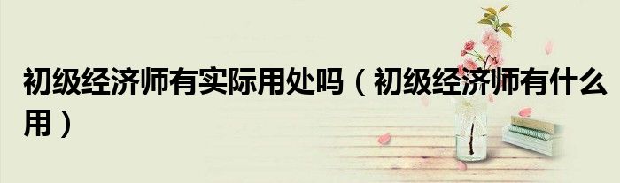 初级经济师有实际用处吗(初级经济师有什么用)