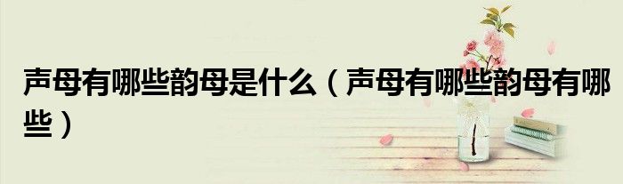 声母有哪些韵母是什么(声母有哪些韵母有哪些)
