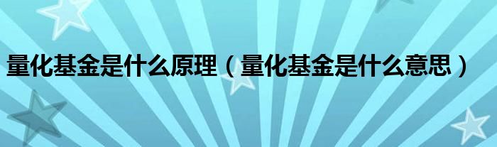 量化基金是什么原理(量化基金是什么意思)